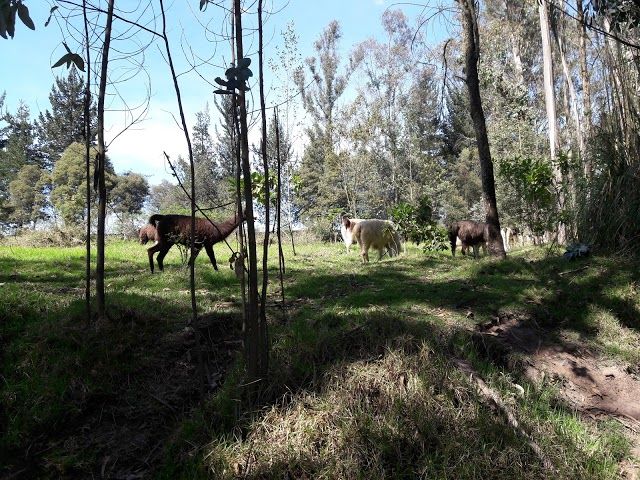Parque Metropolitano de Quito